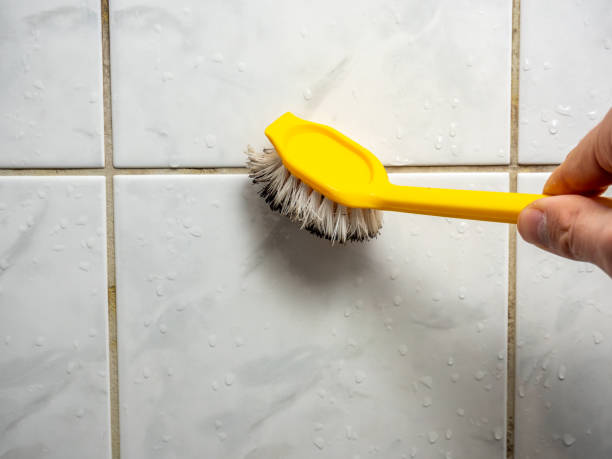 Attic Mold Removal in Shenorock, NY