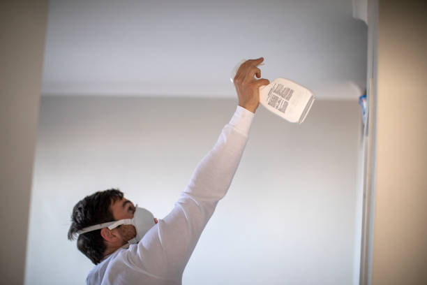 Certified Mold Removal in Shenorock, NY