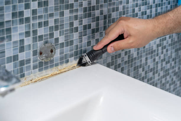 Best Emergency Mold Removal  in Shenorock, NY